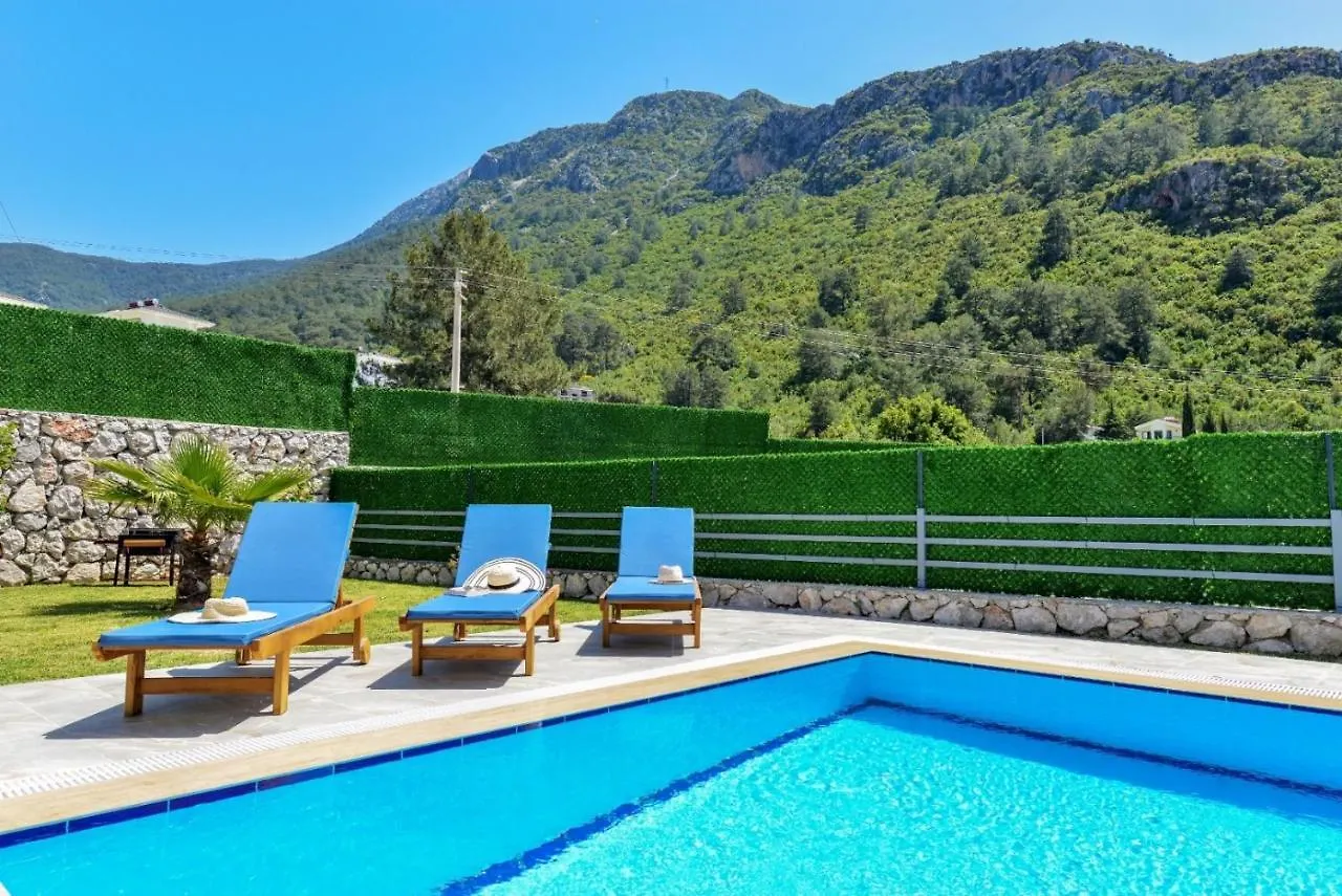 Lorenzo- 4 Bedroom Holiday Villa In Hisaronu